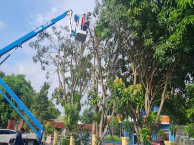 xe Genie tai cang hang khong quoc te vinh